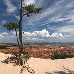 Meet your Posher, Sandy